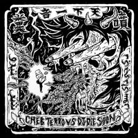 Terrocheb & DJ Die Soon - CHEB TERRO VS DJ DIE SOON vinyl cover