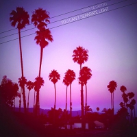 Terry De Castro - You Can't Separate Light vinyl cover