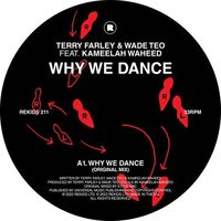 Terry Farley - Why We Dance vinyl cover