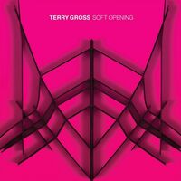 Terry Gross - Soft Opening vinyl cover