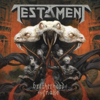 Testament - Brotherhood Of The Snake vinyl cover