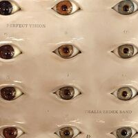 Thalia Zedek Band - Perfect Vision vinyl cover