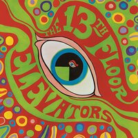 The 13th Floor Elevators - Psychedelic Sounds vinyl cover
