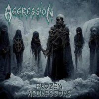 The Aggression - Frozen Aggressors vinyl cover