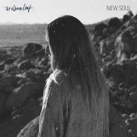 The Album Leaf - New Soul vinyl cover