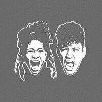 The Anxiety (Willow  &  Tyler Cole) - The Anxiety vinyl cover