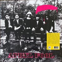 The Apryl Fool - Apryl Fool vinyl cover