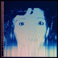 The Avalanches - We Will Always Love You vinyl cover