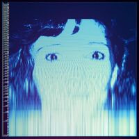 The Avalanches - We Will Always Love You vinyl cover