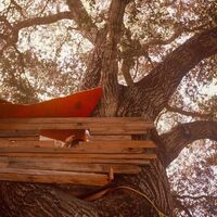 The Backseat Lovers - Waiting To Spill vinyl cover