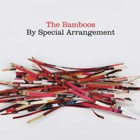 The Bamboos - By Special Arrangement vinyl cover