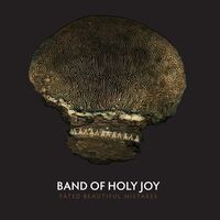 The Band Of Holy Joy - Fated Beautiful Mistakes