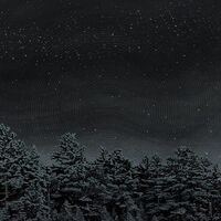 The Besnard Lakes - The Besnard Lakes Are The Prayers For The Death Of Fame vinyl cover
