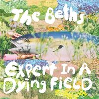 The Beths - Expert In A Dying Field Canary