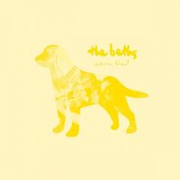 The Beths - Warm Blood vinyl cover