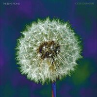 The Bevis Frond - Focus on Nature vinyl cover