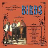 The Birds - Ronnie Wood's Birds 45Rpm vinyl cover