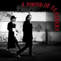 The Black Crowes - A Pound of Feathers vinyl cover