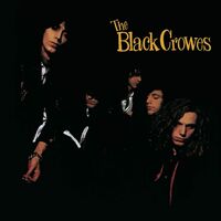The Black Crowes - Shake Your Money Maker vinyl cover