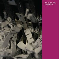 The Black Dog - Fragments vinyl cover