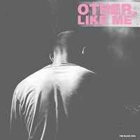 The Black Dog - Other, Like Me vinyl cover