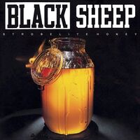 The Black Sheep - Strobelite Honey vinyl cover