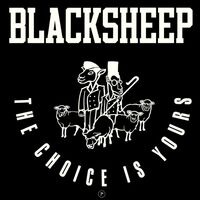 The Black Sheep - The Choice Is Yours vinyl cover