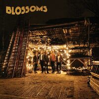 The Blossoms - Blossoms (Orange) vinyl cover