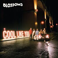 The Blossoms - Cool Like You vinyl cover