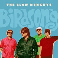 The Blow Monkeys - Birdsong vinyl cover