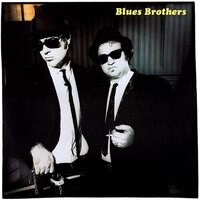 The Blues Brothers - Briefcase Full Of Blues vinyl cover