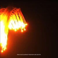 The Body & Dis Fig - Orchards of a Futile Heaven vinyl cover