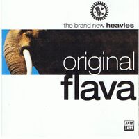 The Brand New Heavies - Original Flavor