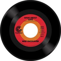 The Brief Encounter - What About Love vinyl cover