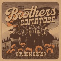 The Brothers Comatose - Golden Grass (Splattered Orange & Blue) vinyl cover