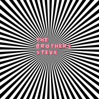 The Brothers Steve - #1 vinyl cover