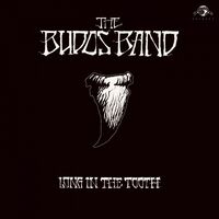 The Budos Band - Long In The Tooth vinyl cover