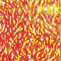 The Bug - Fire vinyl cover