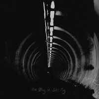 The Bug - In Blue vinyl cover