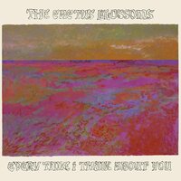The Cactus Blossoms - Every Time I Think About You vinyl cover