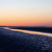 The Calm - Music Is Ours Saxmental Version Sunday Sun Feat. Yoshie Nakano Of Ego Ego-Wrappin' vinyl cover