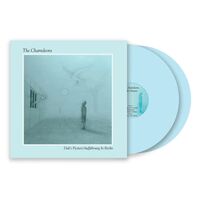 The Chameleons - Dali's Picture vinyl cover