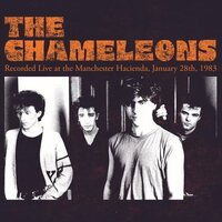 The Chameleons - Recorded Live At The Manchester Hacienda January 28th 1983 (Orange) vinyl cover