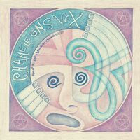 The Chameleons - Return Of The Roughnecks vinyl cover