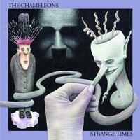 The Chameleons - Strange Times (Tourquise & Grey) vinyl cover
