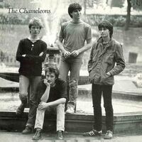 The Chameleons - Tony Fletcher