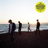 The Charlatans - Modern Nature (Yellow) vinyl cover
