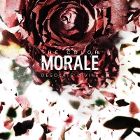 The Color Morale - Desolate Divine vinyl cover