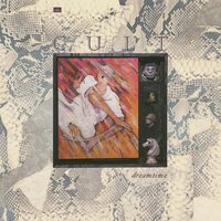 The Cult - Dreamtime vinyl cover