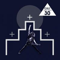 The Cult - Sonic Temple 30Th Anniversary Deluxe vinyl cover